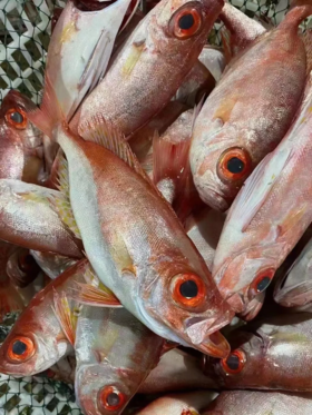 & 深海红目鲢 🐟肉质鲜嫩少刺，清蒸，香煎都👌以味道美味而著称