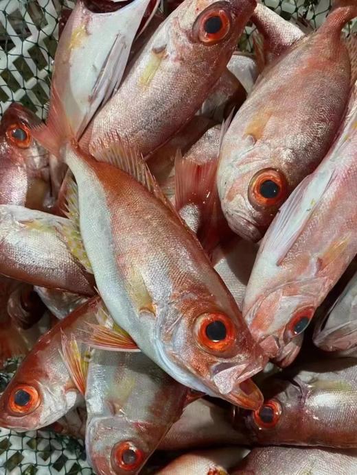 & 深海红目鲢 🐟肉质鲜嫩少刺，清蒸，香煎都👌以味道美味而著称 商品图0