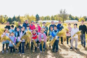 【2H公益时长】秋收盲盒大揭秘！割稻/捉鸭/迷宫/美食DIY，证书+公益时长+丰收大礼包！