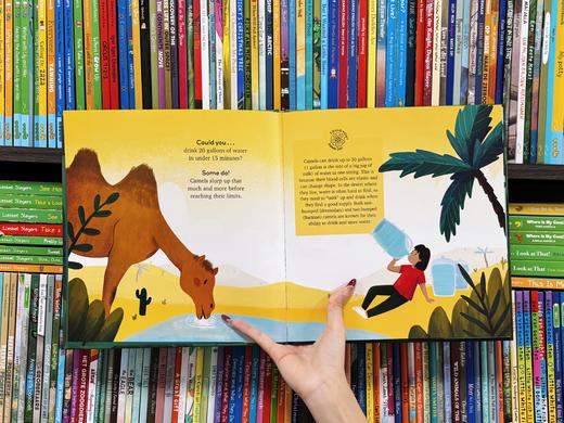 【Clavis】Can you some do.系列 原版英文儿童绘本 商品图5