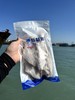 & 咸香大眼鱼干~肉厚肥美 ，干煎巨香！！ 商品缩略图5