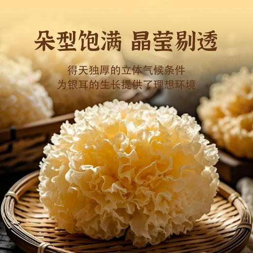 广东揭阳荔米吉银耳60/袋 商品图3