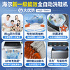 海尔（Haier）洗鞋机全自动刷鞋洗袜子机小型家用宿舍迷你懒人神器 洗脱一体专业洗鞋机 一投即洗免拆鞋带 【新上款 8kg大容量 一键速洗】 T66H 商品缩略图1