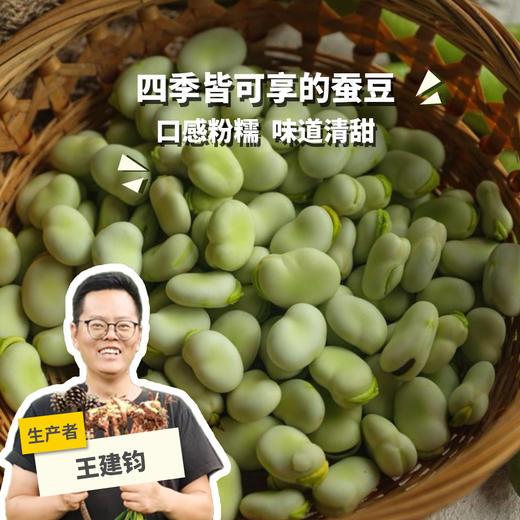 生态蚕豆米（冷冻） | 合作生产*  Ecological broad bean rice (frozen)  | Partner Production 商品图0