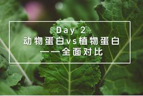 Day 2：动物蛋白 vs 植物蛋白——全面对比