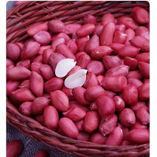 【大安花生】吉林大安红皮花生 白城农家不带壳新鲜晒干四粒红花生米 商品图1