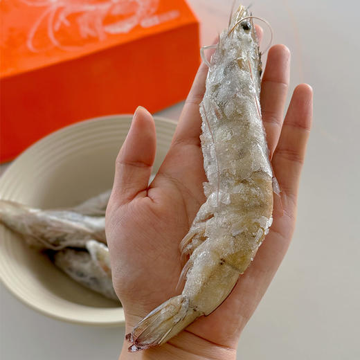 厄瓜多尔白虾 海捕大虾，每箱净重约3.4斤，鲜甜Q弹肉质紧致，富含蛋白质和氨基酸，健康减脂优质食材～ 商品图0