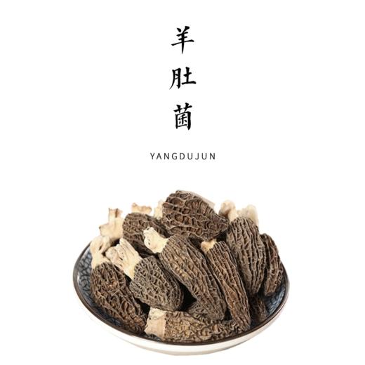 干羊肚菌  【基地直发】| 产地：北京顺义 | 生产者：张友【公平贸易农人定价】 商品图0