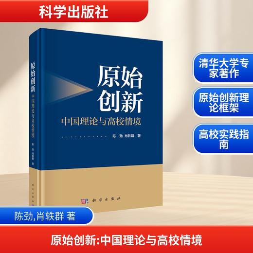 原始创新：中国理论与高校情境 商品图0