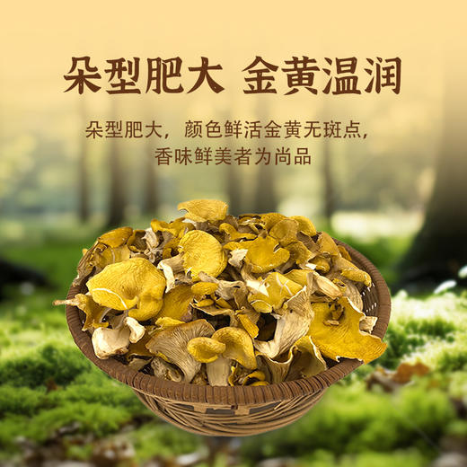 广东揭阳荔米吉鸡油菌80g/袋 商品图3