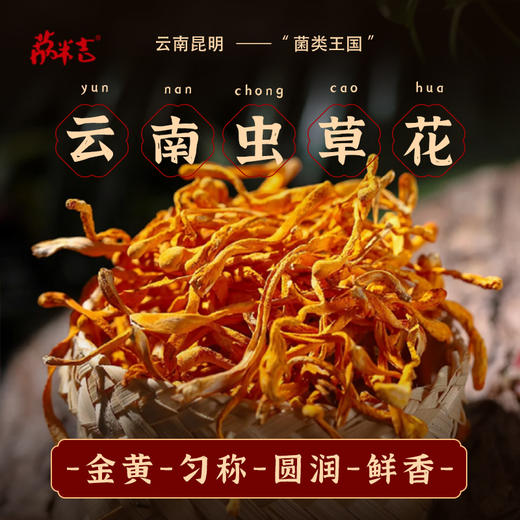 广东揭阳荔米吉虫草花120g/袋 商品图1