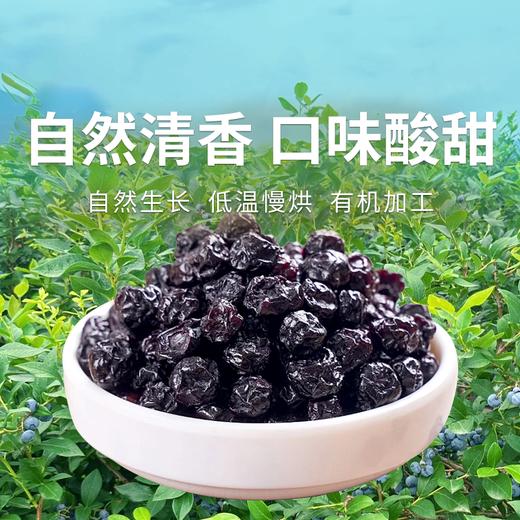  【森林美果有机蓝莓干】自然清香 口味酸甜 无植物油 低温慢烘 商品图0