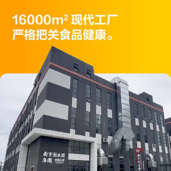 园南京鸭血粉丝汤招牌螺蛳粉米线原味2盒+藤椒2盒(多口味混合组合） /粮油调味 /方便食品 /特色米粉/米线 商品图0