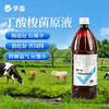 华畜丁酸梭菌原液兽用鸡鸭鹅猪牛羊调节肠道益生菌诱食促长菌种 商品缩略图0