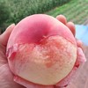 【亚欧超市】桃子500g/份 商品缩略图1