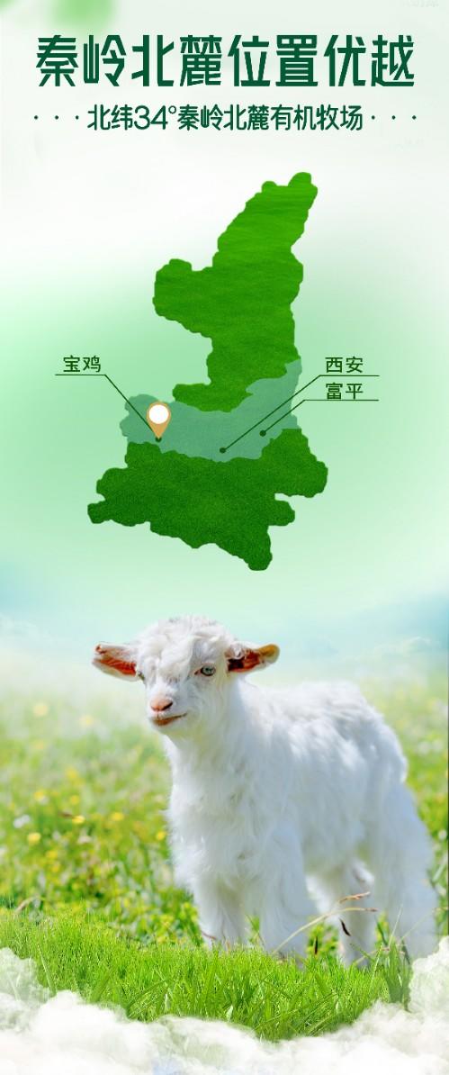 秦岭有机羊奶粉49.8元1桶300g，明天到 商品图6