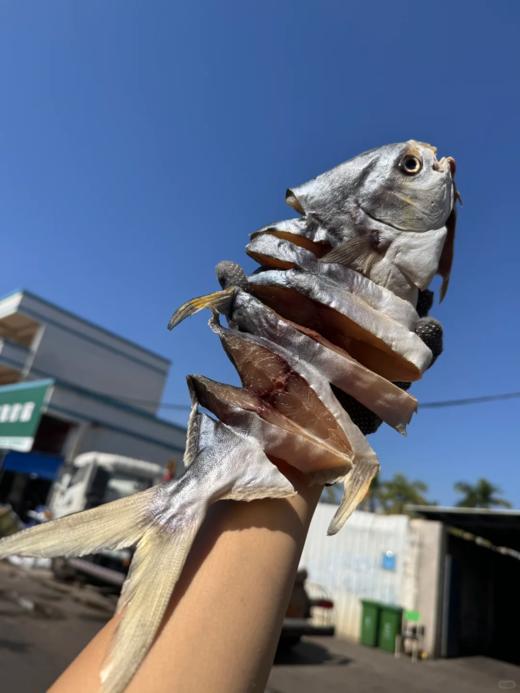&  特级金鲳鱼干，咸香入味 下饭十足，肉质紧食鲜香 商品图3