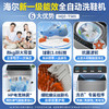 海尔（Haier）洗衣洗鞋机全自动洗脱水一体刷鞋机家用大容量一级能效懒人洗鞋神器 洗袜子地垫 一投即洗免拆鞋带 【新品】8kg大容量速洗洗2-6双 T565 商品缩略图1