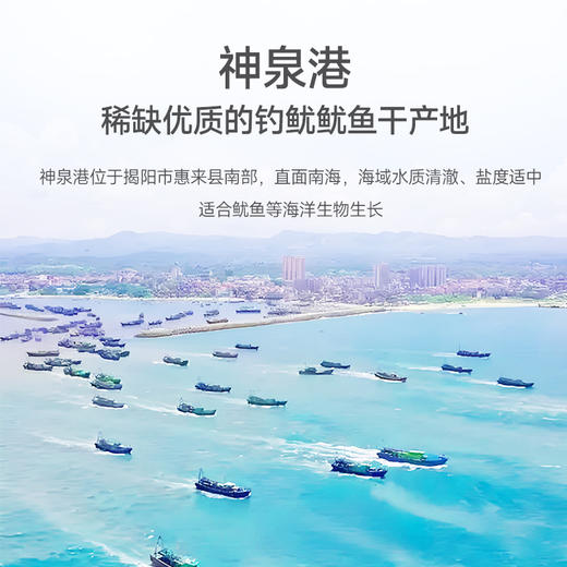 广东揭阳荔米吉鱿鱼干（钓鱿）250g/袋 商品图3