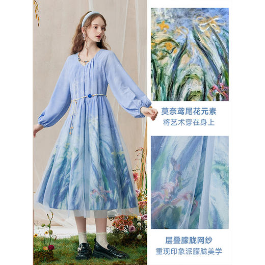 两三事 鸢影浮穹 2025秋季新款优雅网纱拼接印花v领连衣裙 商品图1