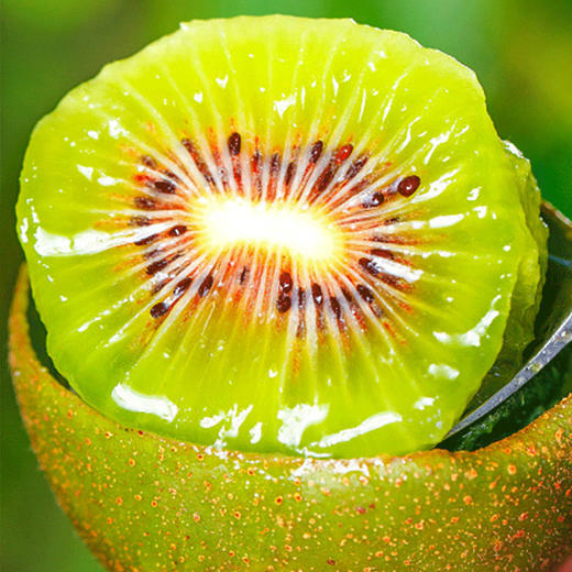 【顺丰快递】四川蒲江红心猕猴桃 红心奇异果 应季新鲜水果 时令现摘AXLXG 商品图0