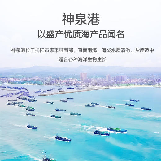 广东揭阳荔米吉虾丸250g/袋*2袋组合 商品图3