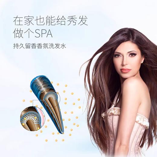 名歌香氛去屑洗发露 400ml/瓶 商品图1