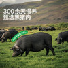 【宝宝馋了】高蛋白黑猪午餐肉200g/盒 商品缩略图3