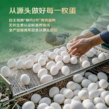 神丹 松花皮蛋 10枚共580g 家庭装 无铅工艺 /休闲食品 /蛋类制品 /鸭蛋类 商品图2