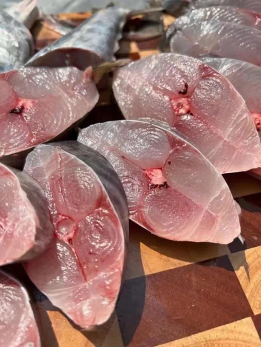 & 豪华大肉片马鲛鱼！无小刺！老少都爱吃活冻 商品图1