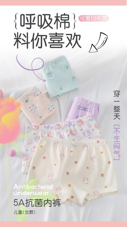 少女童大童长绒棉莫代尔平角内裤学生内裤0048/0049 商品图3