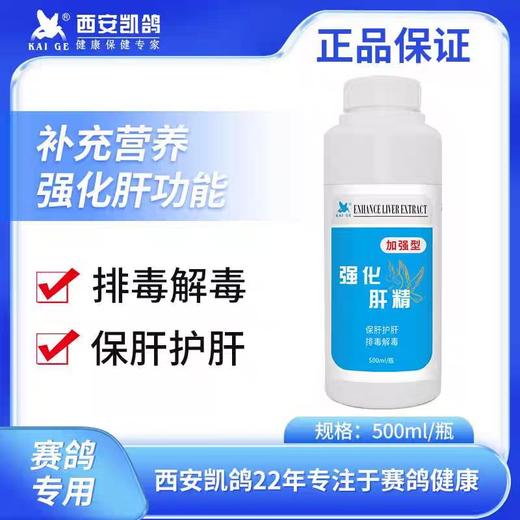 【强化肝精】保肝,护肾,提高竟翔状态,耐力（凯鸽） 商品图0