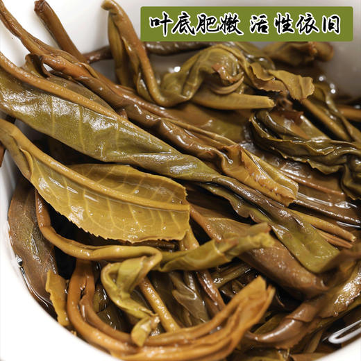 2011年普洱老生茶易武百花潭珍藏古树茶357克 商品图4