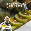 生态红心猕猴桃（赠送活动）| 合作生产*Ecological red heart kiwi |  Partner Production 商品缩略图0