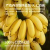 【傣家芭蕉干•西双版纳】非油炸不加糖的健康果干 配料只有新鲜芭蕉🍌4斤鲜蕉烘1斤芭蕉干，厚实软糯有嚼劲~ 商品缩略图7