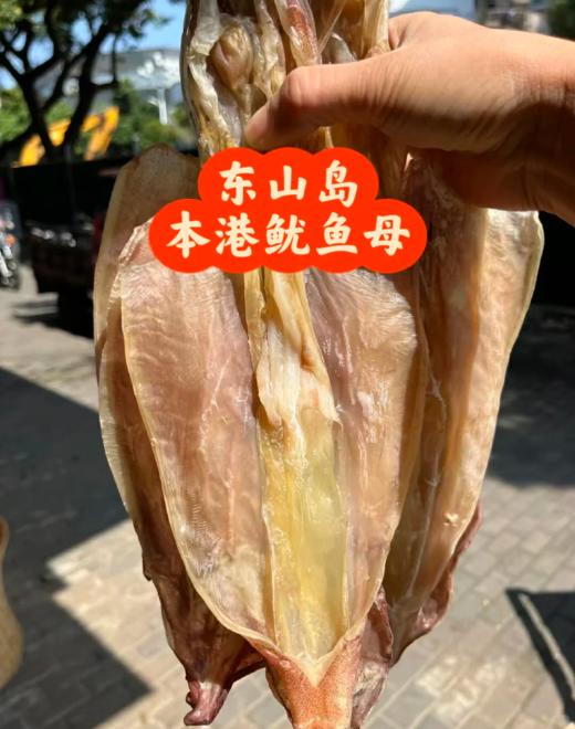& 东山岛鱿鱼母干🐙 滋补佳品 美味又健康 商品图0