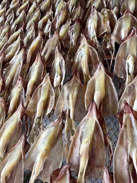 & 东山岛鱿鱼母干🐙 滋补佳品 美味又健康 商品图2