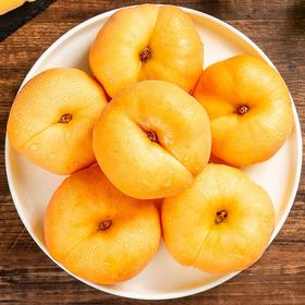 【BF】黄金蟠桃脆甜 新鲜当季水果