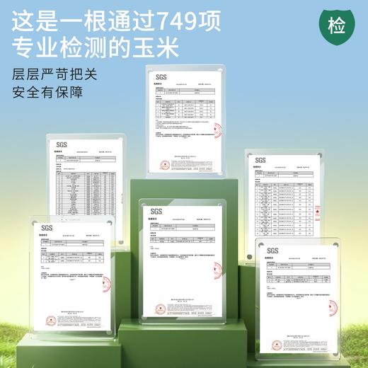 田里有草玉米 商品图2