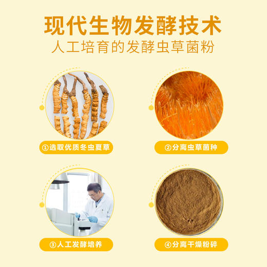 华夏先葆蝙蝠蛾拟青霉菌丝体蜂胶胶囊 商品图4