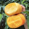 【BF】黄金蟠桃脆甜 新鲜当季水果 商品缩略图3