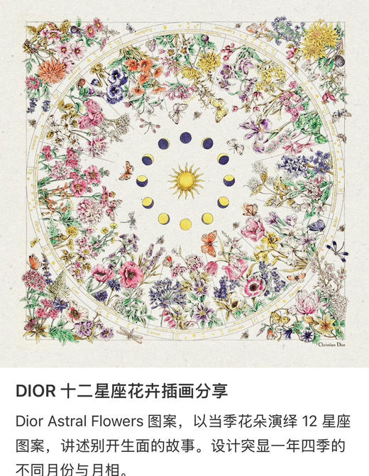 𝐃家新款Astral Flowers系列短袖T恤080202 商品图8