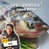野生冷鲜胖头鱼 | 合作生产 * Wild Fat headed Fish | Partner Production 商品缩略图0
