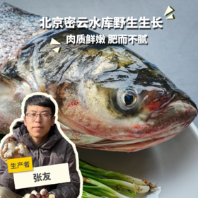 野生冷鲜胖头鱼 | 合作生产 * Wild Fat headed Fish | Partner Production
