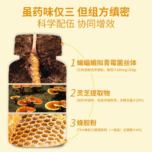 华夏先葆蝙蝠蛾拟青霉菌丝体蜂胶胶囊 商品图3