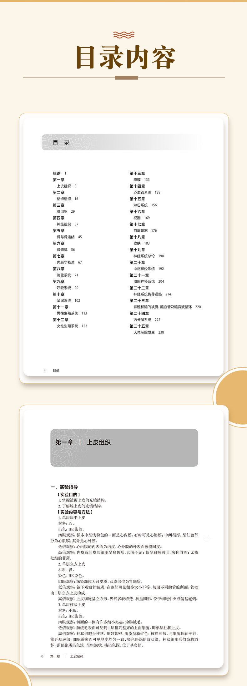 科普1_04.jpg