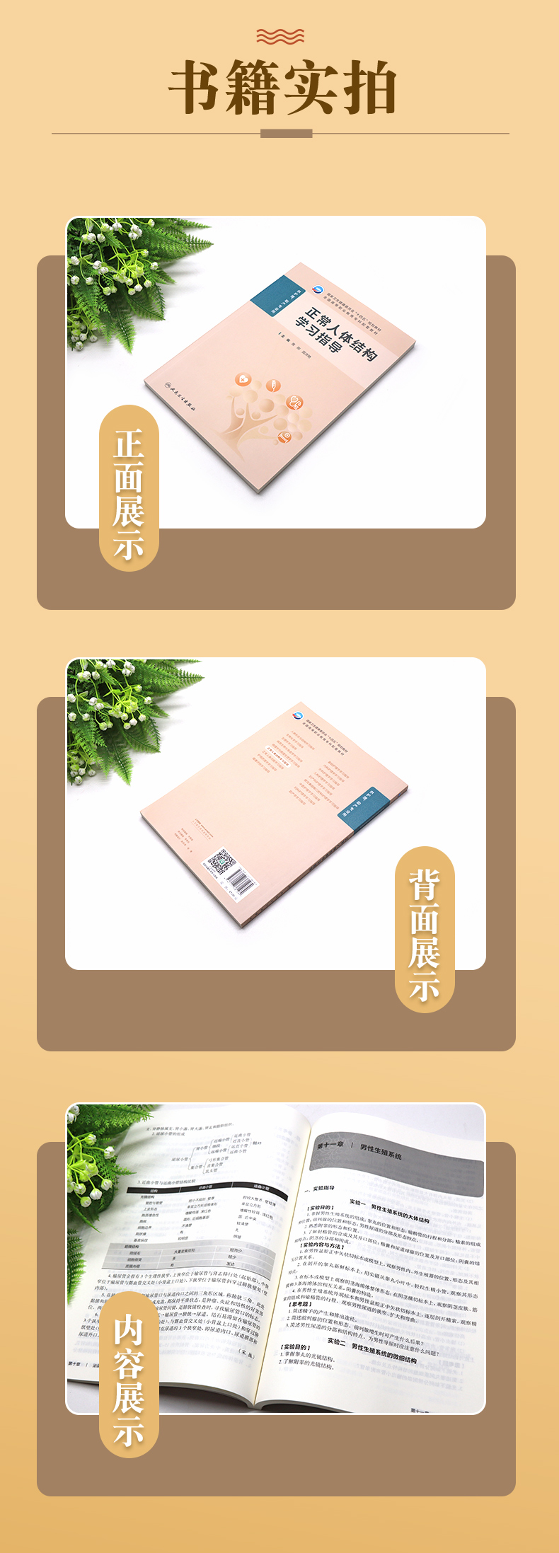 科普1_03.jpg