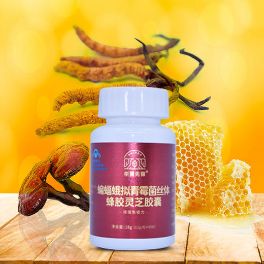 华夏先葆蝙蝠蛾拟青霉菌丝体蜂胶胶囊 商品图5