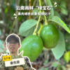 生态牛油果 | 合作生产*Ecological avocado | Partner Production 商品缩略图0