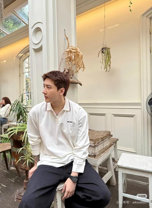 MM 25新款珠地网眼棉面料刺绣撞色领长袖POLO衫 Z-15545 商品图7